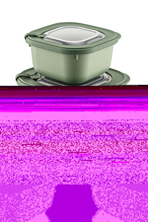 3lü Mikrodalga Ve Difrize Uygun Vip Kapaklı Zarif Özel Saklama Kabı Seti Yeşil