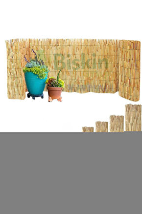 Kadın Kısa Kollu V Yakalı Beli Lastikli Uzun Viskon Elbise