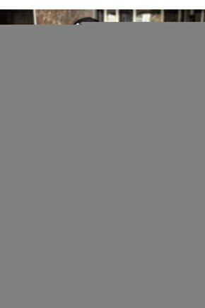 Kadın Kapüşonlu Leopar Detay Sweat Ve Yüksek Bel Yanları Leopar şeritli Bol Paça Pantolon Ikili Takı