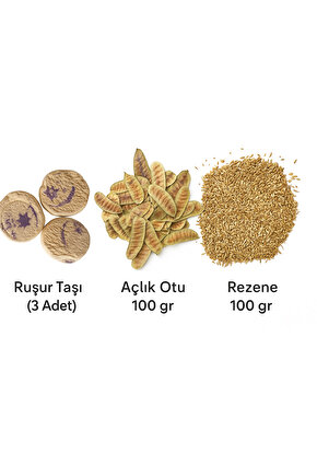 Doğal Ruşur Taşı (3 Adet) + 100 gr Açlık Otu + 100 gr Rezene – Cilt Bakımı ve Bitkisel Detoks Seti