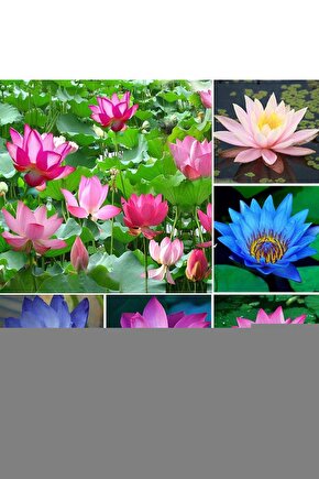 Unisex Bisiklet Yaka Baskılı Oversize T-Shirt - Siyah