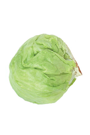 Marul Tohumu Iceberg 3 Gram