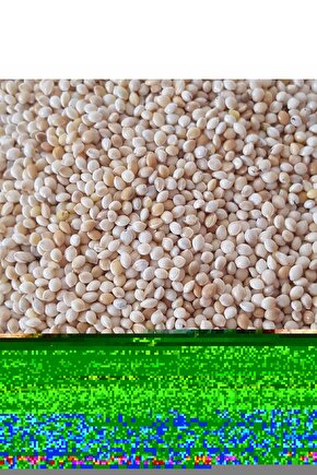 200 gr - Kuş Yemi Ak Darı Beyaz Darı - (AKDARI)