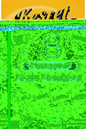 LGS 8. Sınıf Keşfet Serisi Paragraf Soru Bankası  Burcu Hızır  Günay Yayınları  9786258331356