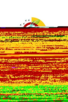 eyesof Unisex Uzun Kol Baskılı Bomber Ceket - Siyah