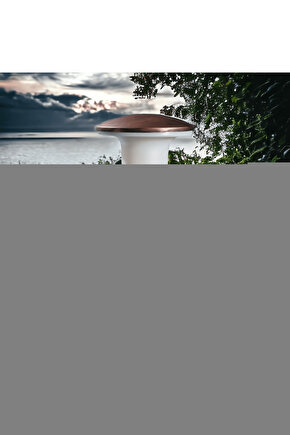 Kadın Kolsuz Boyundan Bağlamalı Beli Lastikli Dijital Baskı Süprem Uzun Elbise