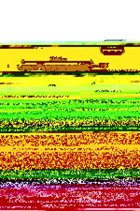 Kadın Bisiklet Yaka Baskılı T-shirt - Siyah