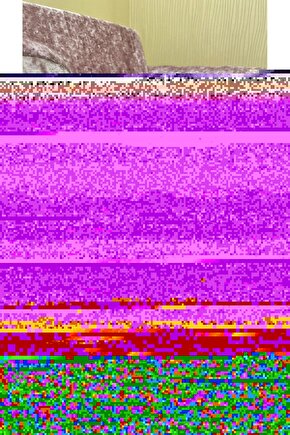 Kız Çocuk Bisiklet Yaka Baskılı T-Shirt - Beyaz