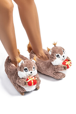 Sincap Kadın Panduf Kahverengi 3641