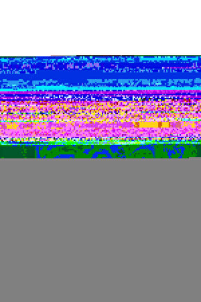 Erkek Fermuar Yakalı Kısa Kollu Tişört