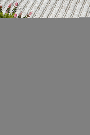 Unisex Bisiklet Yaka Baskılı Oversize T-Shirt - Beyaz