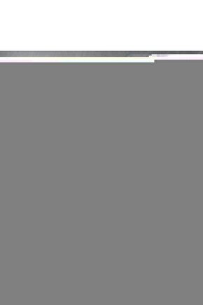 Büyülü Orman Mantar Duvar Sanatı