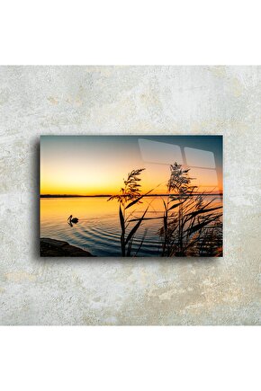 Orman Gölgesi Cam Tablo