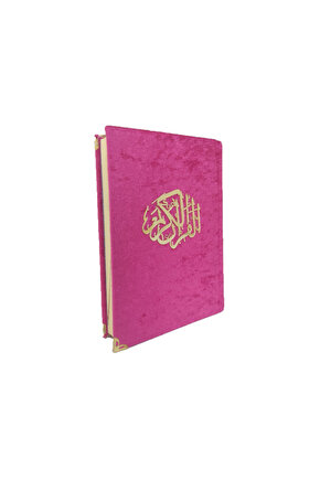 Elma ve Bitki Desenli Duvar Sanatı