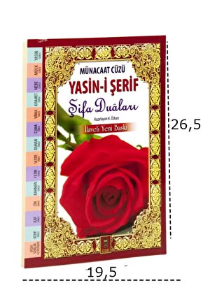 Soyut Renkli Vitray Cam Tablo