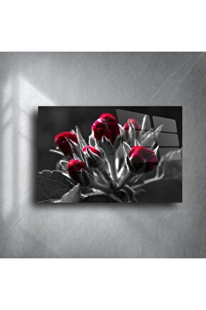 Siyah Beyaz Zemin Üzerine Kırmızı Gonca Çiçek Cam Tablo
