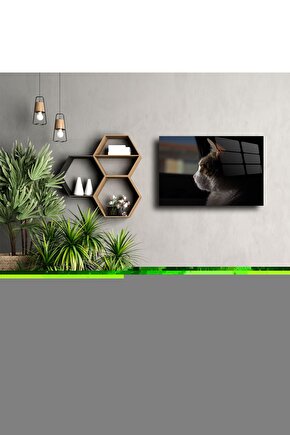 Tevhid Mesajı Indirildiği Dönemin Işığında Kuran Tefsiri Hasan Elik Muhammed Coşkun