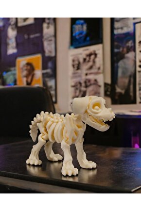 İskelet Köpek (iskelet koleksiyonu)