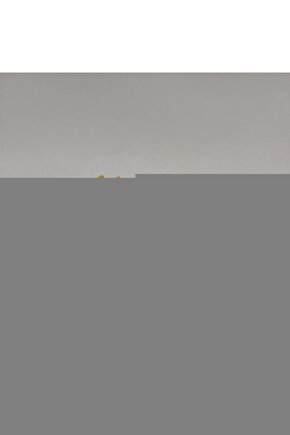 4k Smart Led Tv Kumandası Netflix Youtube Tuşlu