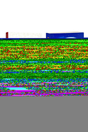 Erkek Siyah Sıfır Yaka Pamuklu Yarım Kollu Fanila