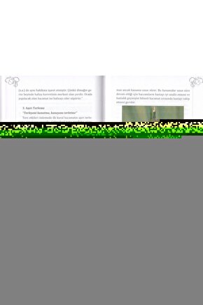 Slip Külot Bato Karışık Renkli %100 Pamuk Penye 12 Ad