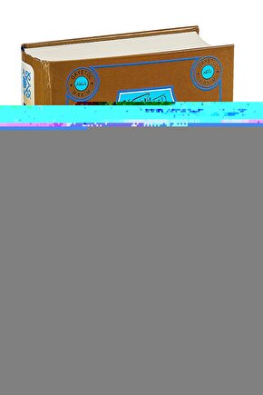 Karmen Kanül Ucu Numara 5 Karman 35 ADET