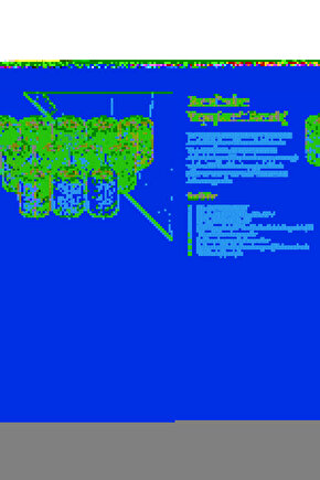 OctaCare Kendinden Yapışkanlı Bandaj Koban Bandaj 7,5 cm x 4,5 m Yeşil Renk 12 Adet