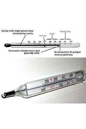 Civa İçermeyen Beden Derecesi