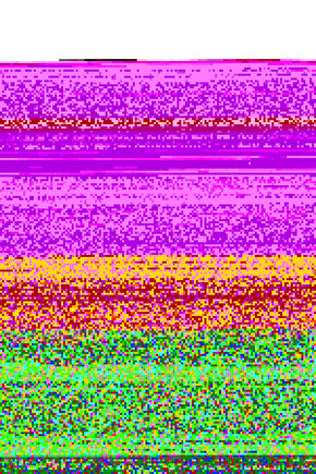 5 KG 9 MM İRİ TANE DERMASON KURU FASÜLYE