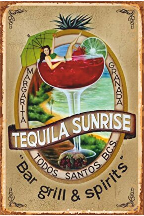 Kokteyl Tekila Alkol Retro Ahşap Poster