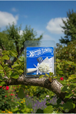 Özel Seri Sevgiliye Hediye Minik Beyaz Gül Buketi