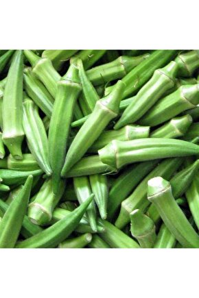 Kısa Tüysüz Bamya Tohumu  10 Gram