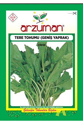 Tere Tohumu Geniş Yaprak 10gr