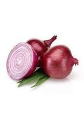30 Adet Tohum Yerli Mor Soğan Tohumu Ata Tohum
