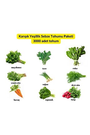 9 Çeşit Karışık Sebze Ve Yeşillik Tohum Paketi - 4000 Adet Tohum