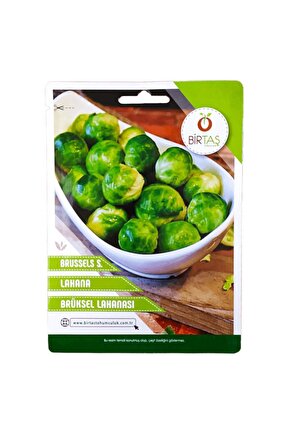 Birtaş Brüksel Lahanası Tohumu Paket