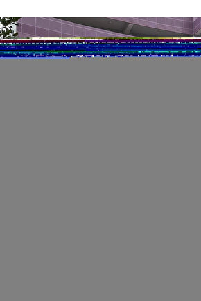 Bağcıklı Başparmak Destekli El Bilek Ateli XXLARGE