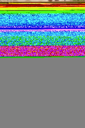 iPhone 13 Arka kapak Kılıf Kırmızı kenarlı rose