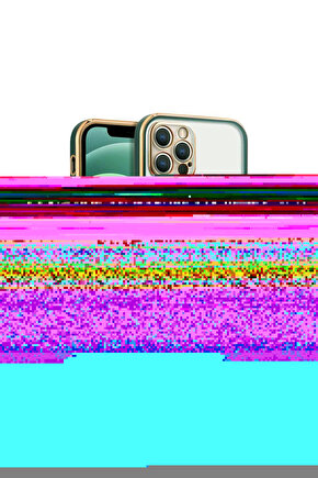 iPhone 13 Pro Arka kapak Kılıf Yeşil kenarlı rose