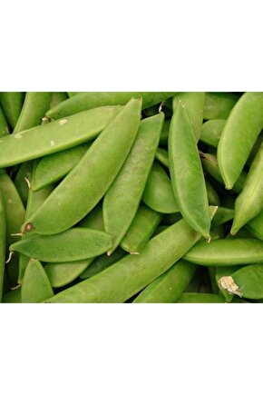 Yaprak Bezelye Tohumu 50 Adet