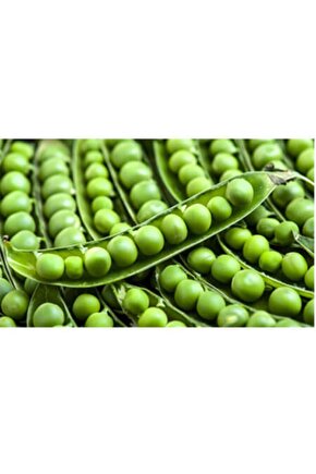 Doğal Sanayilik Bezelye Tohumu - 25 Adet