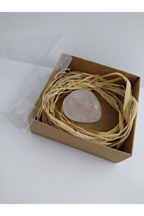 Ortopedik Kamburluk Dik Duruş Durma Bel ve Sırt Destek Korsesi