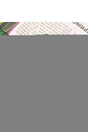 Perine Bölgesi Temizleme Havlusu Extra Geniş 50li