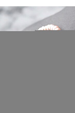 Iron Portatif Hasta Saç Yıkama Seti