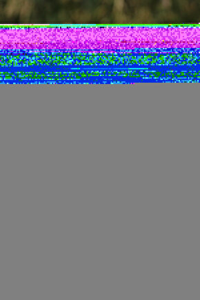 Taba Tonlamalı Desenli Tokalı Bone