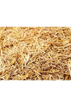 Akıllı Çocuk Renkli Bloklar 100 Parça