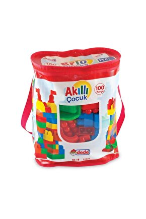 Akıllı Çocuk 100 Parça