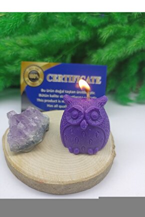 Kaktüs Blok Kova (120 Parça) - Oyuncak Oyuncaklar - Oyuncakları - Blok Setleri - Kaktüs Oyuncak