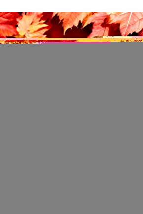 Plastik Ördek Mn 913