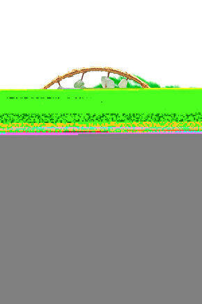 AVENTURİN DOĞAL TAŞ AĞAÇ (SERTİFİKALI)